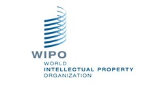 World Intellectual Property Organization